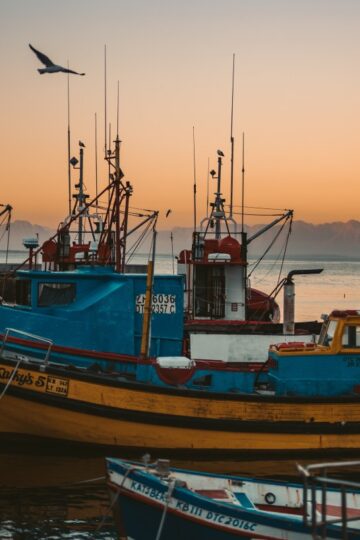 fishing industry