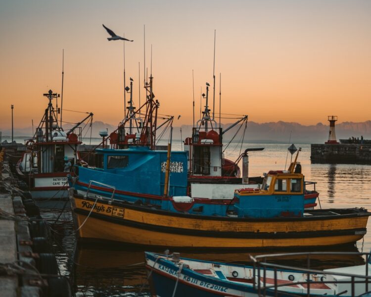 fishing industry