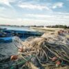 fishing nets