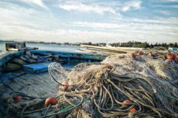 fishing nets