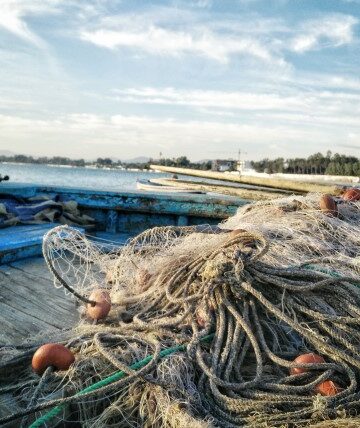 fishing nets