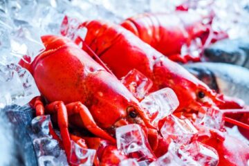 lobster news