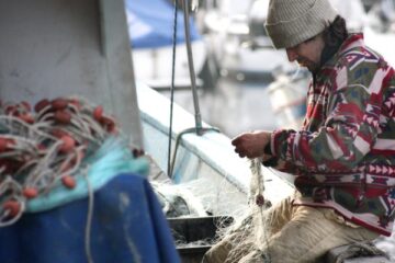 scottish seafood