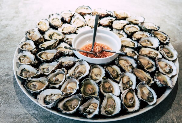 oysters