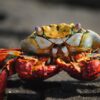 Crab Gumbo