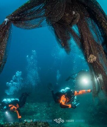 healthy seas