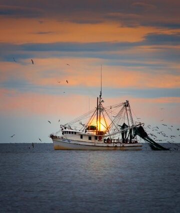 aquaculture