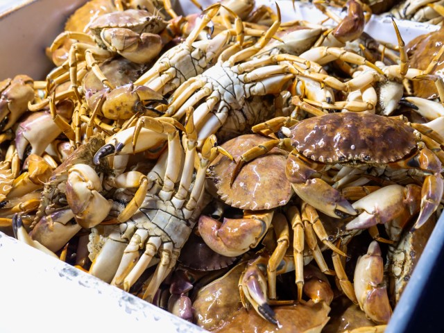 black pepper crab recipe