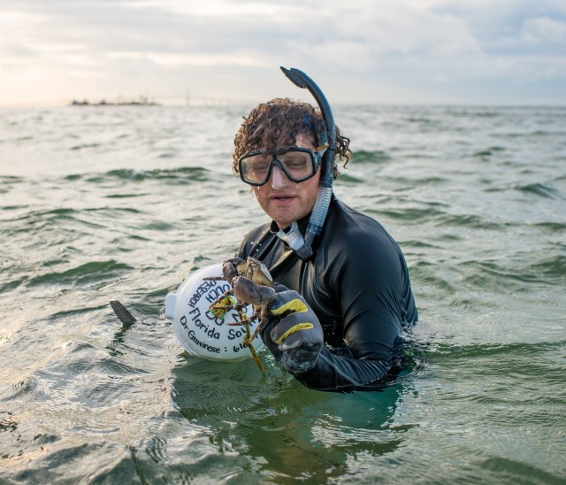 stone crab research