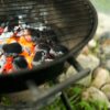 halibut grilling