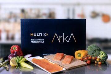 arka salmon display