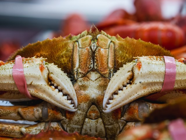 crab callaloo recipe