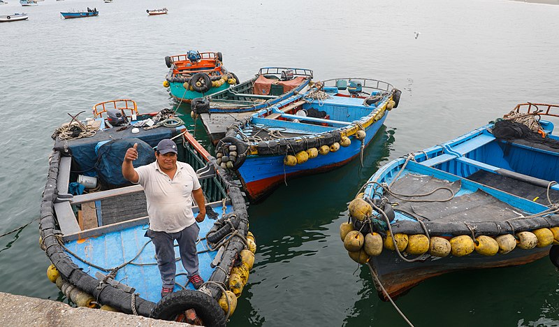 Fisherman at Mercado del Mar