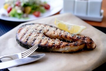 grilled shark