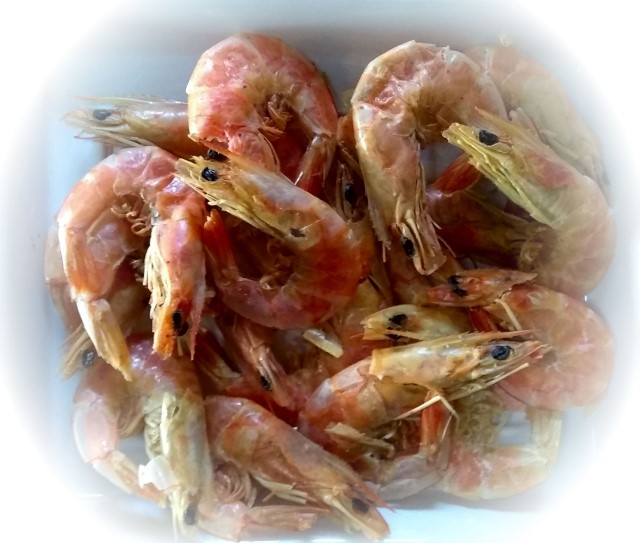 sundried shrimp for seafood salsa