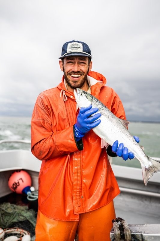 bristol bay sockeye salmon run