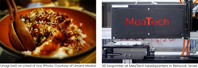 meatech 3d printed seafood on plate