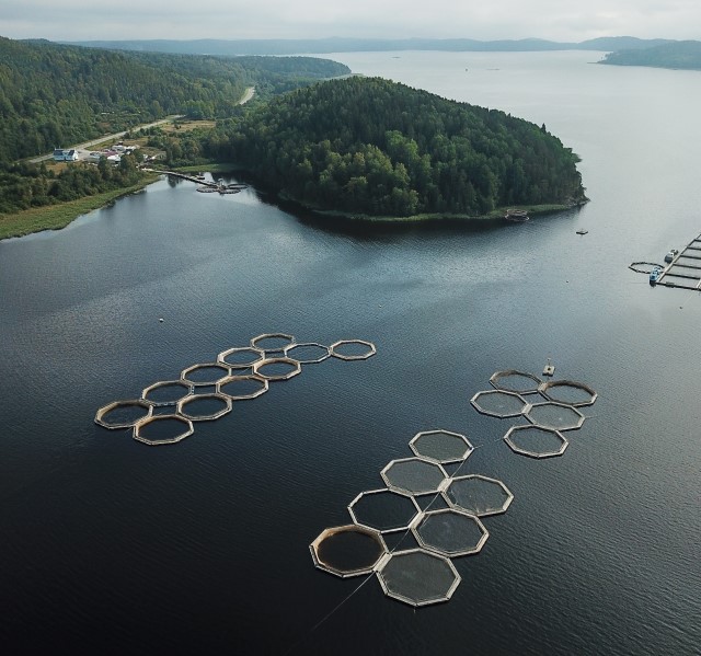aquaculture fish farm aerial view
