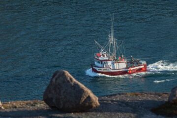 bering sea snow crab fishing