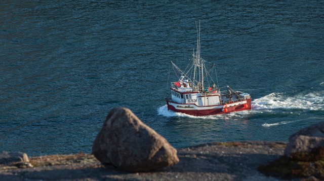 bering sea snow crab fishing